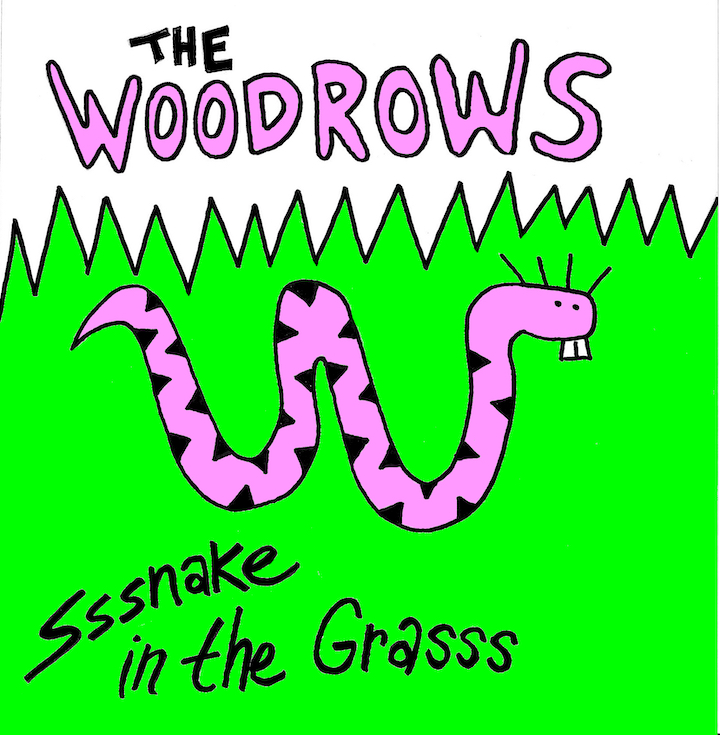 The Woodrows  Snake in the Grass