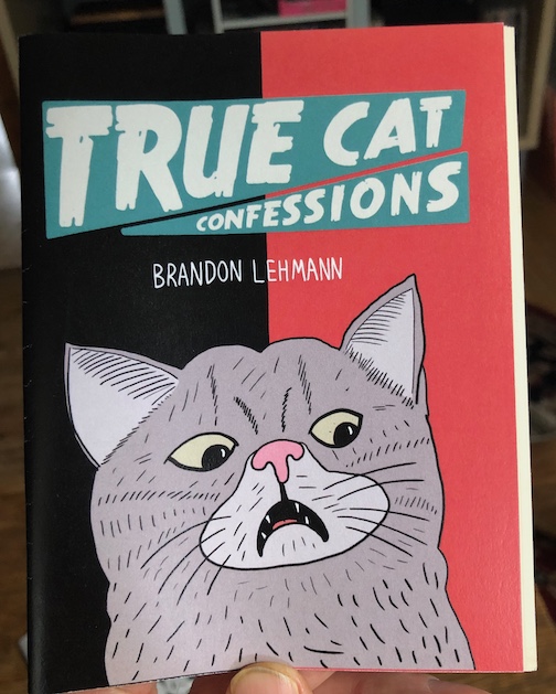 True Cat Confessions