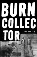 Burn Collector #15 Al Burian