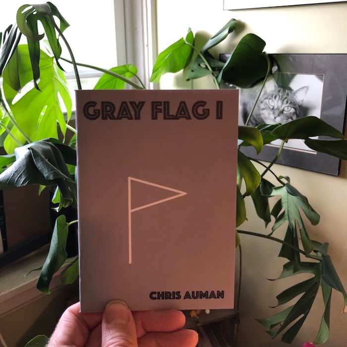  Gray Flag #1 by Chris Auman