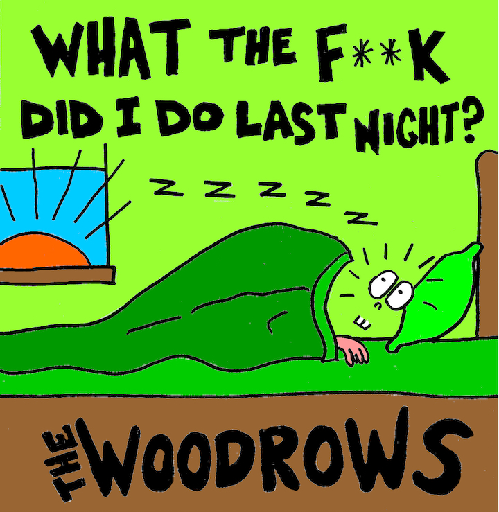 The Woodrows What the F Did I Do Last Night